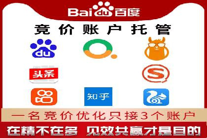 托管竞价SEM实战案例分享